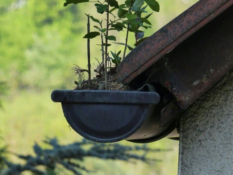 Top Signs It's Time to Clean Your Gutters blog