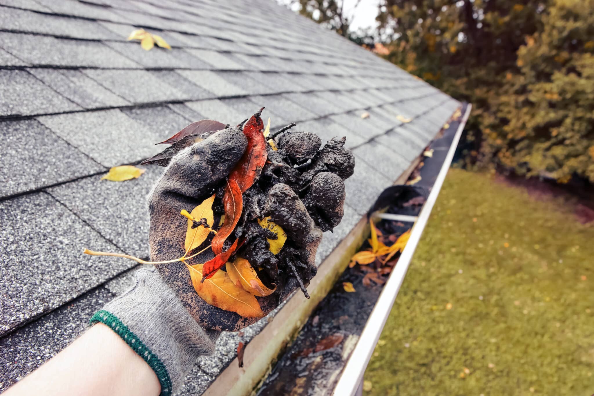 Gutter Cleaning Austin