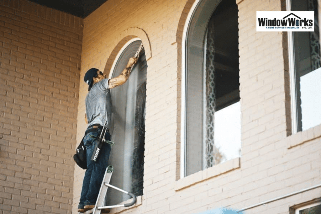 windows cleaning